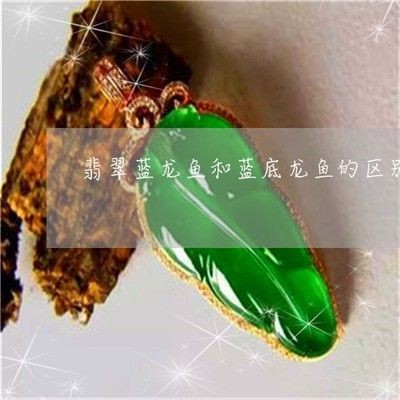 藍龍魚和金龍魚的區別