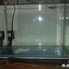 高錳酸鉀給魚缸消毒的比例需要根據魚缸中的水體積來確定：高錳酸鉀在魚缸消毒中的作用