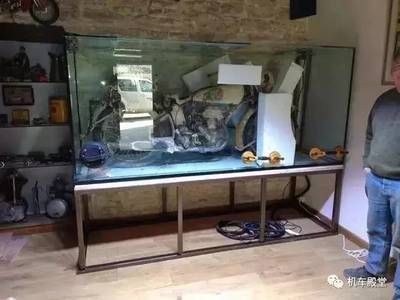 漢川市魚多多水族金魚店：漢川市幾個可能賣魚缸的地方