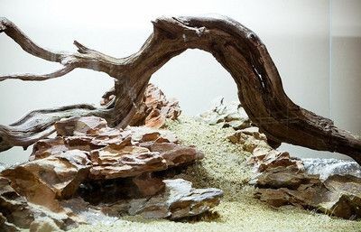 大魚缸水草泥怎么鋪設(shè)好：大魚缸水草泥鋪設(shè)指南