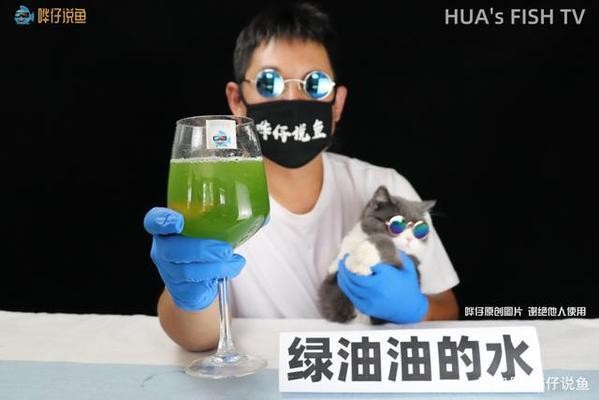 沈陽市渾南區漫香花卉水族館（沈陽市渾南區漫香花卉水族館