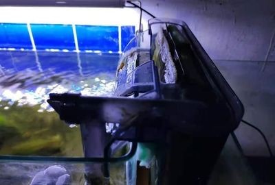 浦城縣蠻蠻熱帶魚水族館（提前還房貸計算器）