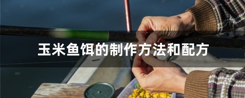 玉米魚餌的制作方法和配方