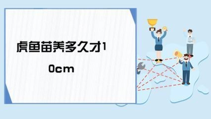 豐年蝦對蘇虎苗的影響,豐年蝦對蘇虎魚苗的影響 虎魚百科 第2張 豐年蝦對蘇虎苗的影響,豐年蝦對蘇虎魚苗的影響 豐年蝦對蘇虎苗的影響,豐年蝦對蘇虎魚苗的影響 虎魚百科 第2張