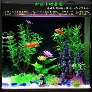 銀龍魚魚鱗掉了怎么辦（銀龍魚魚鱗掉了怎么辦啊）