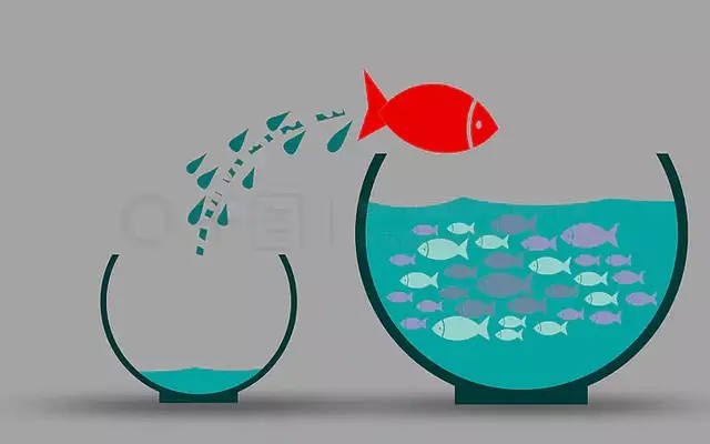 西豐縣西豐鎮葉龍溪水水族館（西豐縣西豐鎮葉龍溪水水族館電話）