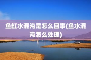 剛換的魚缸水變渾濁怎么辦：剛換的魚缸水變渾濁可能是由于多個(gè)因素共同作用的結(jié)果