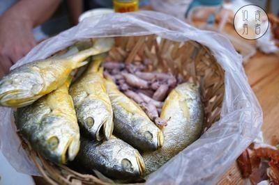 成年紅龍魚幾天喂一次飼料好