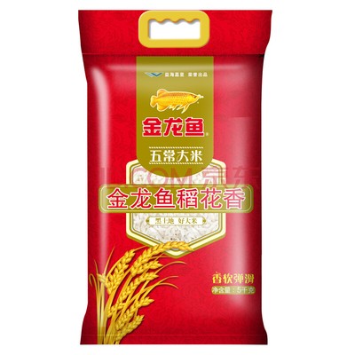 銀龍魚金龍魚紅龍魚（銀龍魚vs金龍魚）
