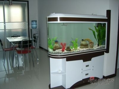 白水縣玉蓮水族器材經銷部（白水縣玉蓮水族器材經銷部地址）