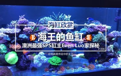 生態魚缸設計理念與實踐生態魚缸設計理念與技術應用：濰坊市寒亭區海王水族魚缸