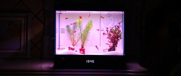 方形小魚缸怎樣開缸和造景的信息對您有所幫助：方形小魚缸怎樣開缸和造景