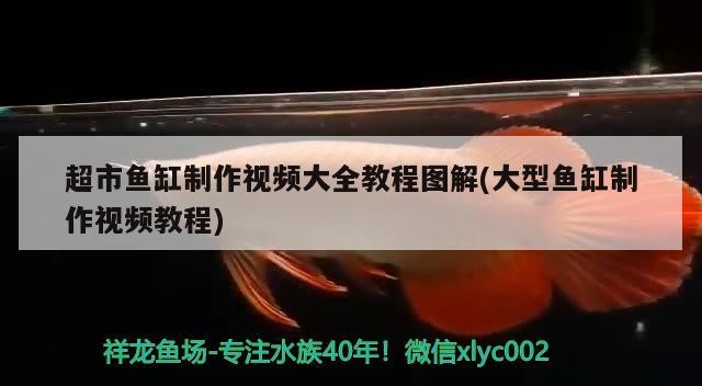 超市魚缸制作視頻大全教程圖解(大型魚缸制作視頻教程)