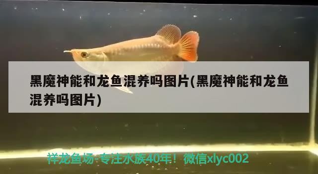 虎魚網(wǎng)新疆電視臺(tái)（虎魚網(wǎng)新疆電視臺(tái)老年之友）