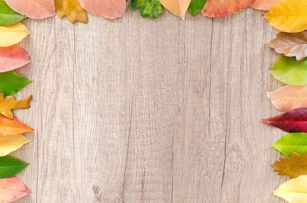 辣椒紅龍混養的最佳伴侶選擇，辣椒紅龍混養伴侶選擇
