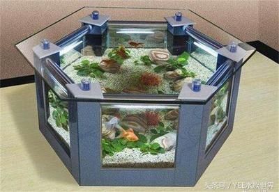 觀賞魚缸水不清的解決方法：觀賞魚缸水不清可能由多種原因?qū)е掠^賞魚缸水不清的原因