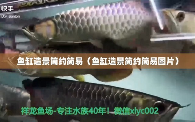 容城縣點亮水族門市部（亮點水族電話）