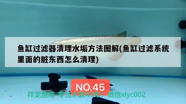 魚(yú)缸過(guò)濾器清理水垢方法圖解(魚(yú)缸過(guò)濾系統(tǒng)里面的臟東西怎么清理)