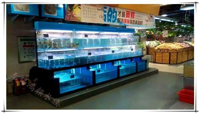 定做超市魚缸怎么做好看：定做超市魚缸時如何選擇合適的魚缸材質