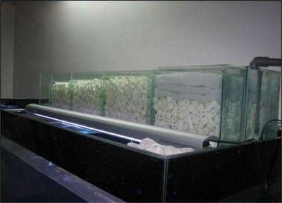 瓷磚做魚缸視頻：廢舊瓷磚制作魚缸的具體步驟和技巧