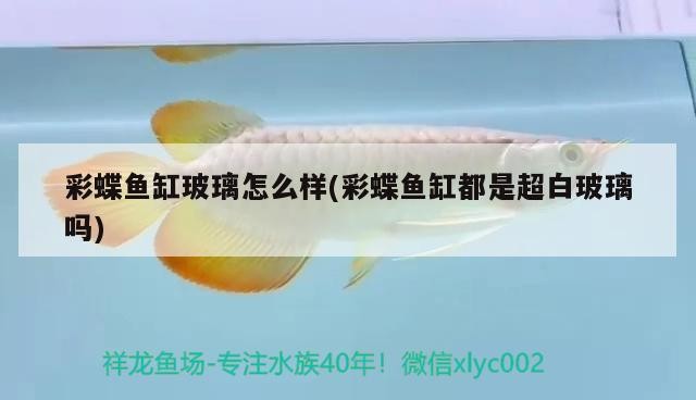 龍魚和虎魚混養視頻（龍魚和虎魚打架加配魚）