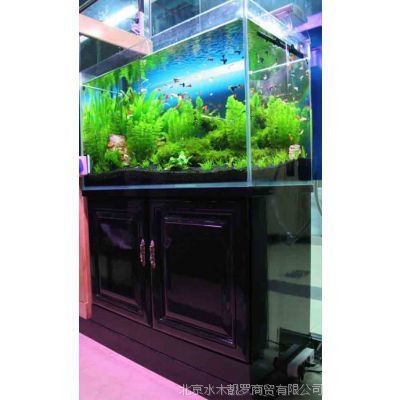 黑鉆生態魚缸的優缺點：德國黑鉆生態魚缸優缺點
