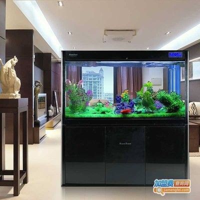 魚缸繁殖的常見誤區在魚缸繁殖過程中需要掌握這些知識：關于魚缸繁殖的常見誤區