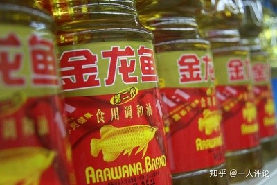 魚(yú)糧 銀龍魚(yú)掉眼怎么治療最好最快呢(銀龍魚(yú)掉眼怎么治療最好最快呢視頻) 銀龍魚(yú)百科 銀龍魚(yú)掉眼怎么治療最好最快呢(銀龍魚(yú)掉眼怎么治療最好最快呢視頻) 銀龍魚(yú)掉眼怎么治療最好最快呢(銀龍魚(yú)掉眼怎么治療最好最快呢視頻) 銀龍魚(yú)百科