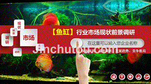 芝罘區迷彩水族館（芝罘區迷彩水族館地址）