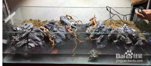 翁源縣樂魚兒生態(tài)水族館（魚樂源山莊）