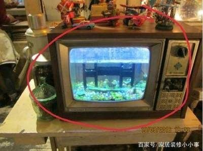 魚缸放在電視機旁邊好嗎？：將小魚缸放在電視機旁邊會影響電視機的正常工作工作