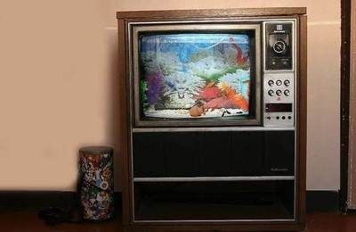 魚缸放在電視機旁邊好嗎？：將小魚缸放在電視機旁邊會影響電視機的正常工作工作