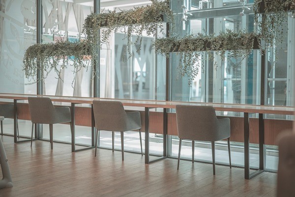 銀龍魚掉眼怎么回事啊（銀龍魚掉眼怎么回事啊圖片）