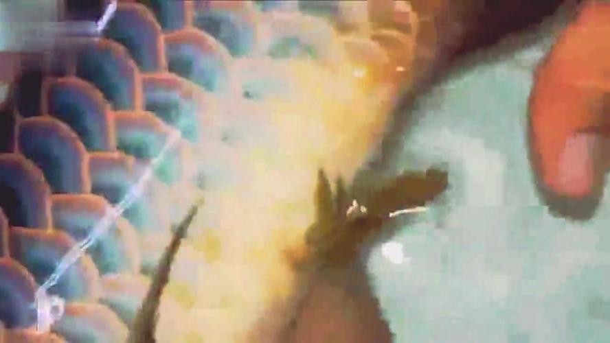 啟東市匯龍鎮(zhèn)旺旺海洋水族館(啟東市匯龍鎮(zhèn)旺旺海洋水族館電話) 全國水族館企業(yè)名錄 第1張 啟東市匯龍鎮(zhèn)旺旺海洋水族館(啟東市匯龍鎮(zhèn)旺旺海洋水族館電話) 啟東市匯龍鎮(zhèn)旺旺海洋水族館(啟東市匯龍鎮(zhèn)旺旺海洋水族館電話) 全國水族館企業(yè)名錄 第1張