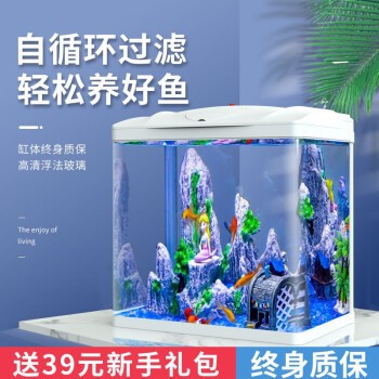 銀龍魚溫度多少會生病（銀龍魚溫度多少會生病啊）