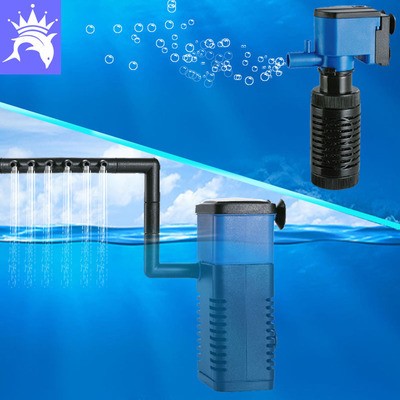 南京市秦淮區(qū)千喜龍水族館（南京市秦淮區(qū)千喜龍水族館地址）