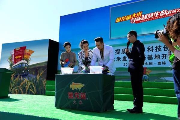 京口區親親魚水族館（京口區親親魚水族館地址）