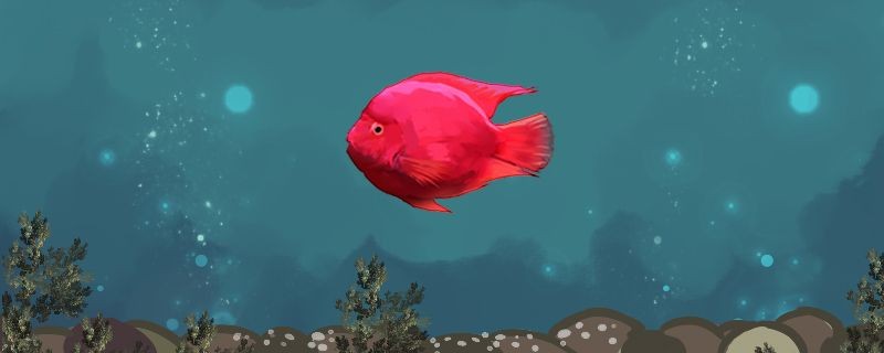 一米的魚缸放多少鹽合適魚兒鹽浴需要多長時間