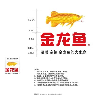 銀龍魚可以放生嗎(銀龍魚放河里能活嗎)
