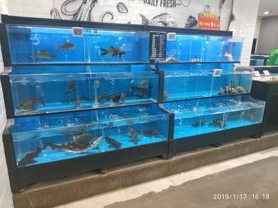 海鮮池魚缸制作視頻教程和技巧和注意事項(xiàng)：海鮮池魚缸制作過程和技巧：diy海鮮池魚缸制作視頻教程