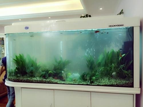 鋼化玻璃魚缸安全材質(zhì)選擇鋼化玻璃魚缸材質(zhì)的選擇：鋼化玻璃、浮法玻璃和超白玻璃各有特點(diǎn)