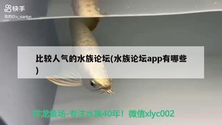 水族論壇專(zhuān)業(yè)板塊分類(lèi)查詢(xún)，專(zhuān)業(yè)的水族論壇及其板塊分類(lèi)