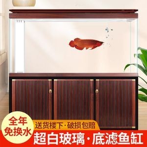 龍魚防掉眼的遮光簾有用嗎 龍魚百科 第1張 龍魚防掉眼的遮光簾有用嗎 龍魚防掉眼的遮光簾有用嗎 龍魚百科 第1張