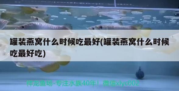 龍魚虎魚混養視頻教程全集（龍魚虎魚混養視頻教程全集免費觀看）