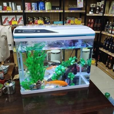 魚缸剛換完水就變混了什么原因，如何維護魚缸硝化系統(tǒng)魚缸換水的最佳時機
