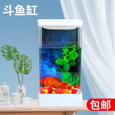 章貢區凱凱水族館（章貢區凱凱水族館地址）