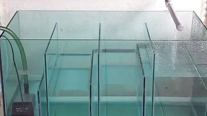 魚缸改造的藝術(shù)與科學(xué)魚缸改造的藝術(shù)原則和科學(xué)原理：定制魚缸不允許開孔怎么辦？