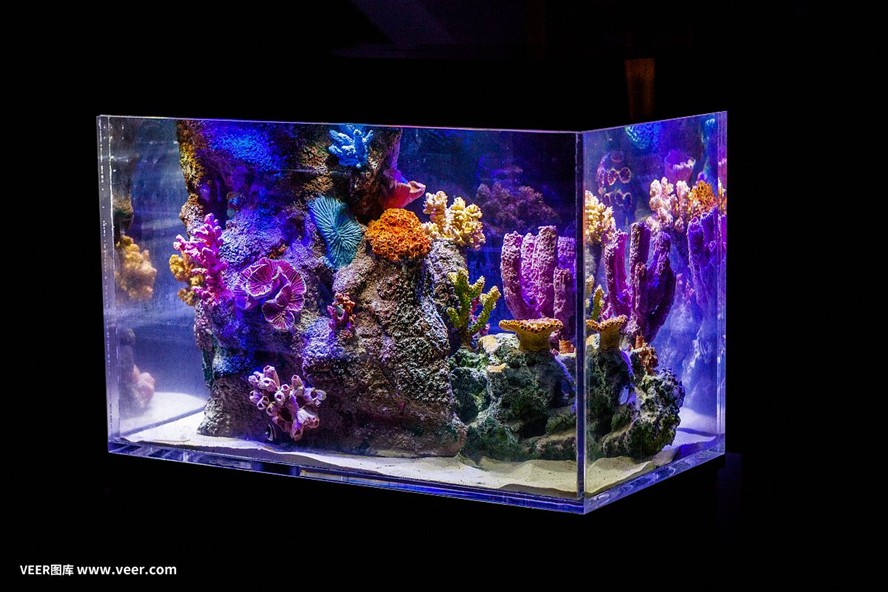 方形魚缸造景技巧：方形魚缸海洋造景技巧