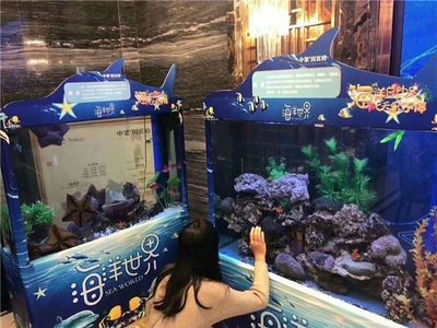 方形魚缸造景技巧：方形魚缸海洋造景技巧