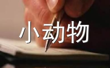 魚缸腥味大的原因及解決方案：魚缸腥味大怎么辦
